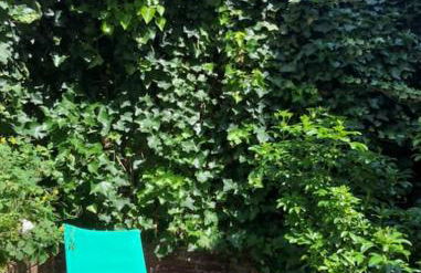 COMME UNE MAISON, duplex terrasse hypercentre de Trouville - Photo 1