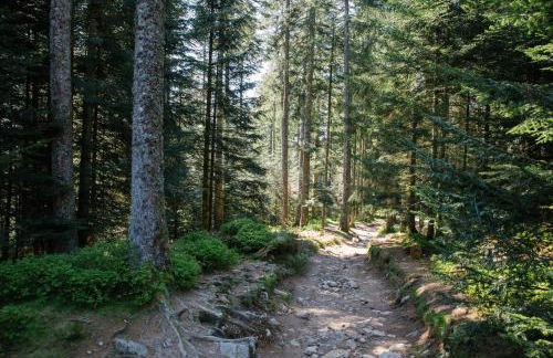 Le Refuge du Cerf - Foto 25