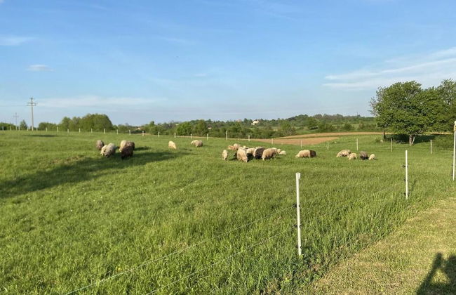 Villa Stone - Foto 37