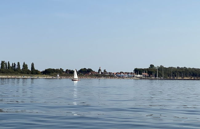 Ostseekrabbe - Foto 29