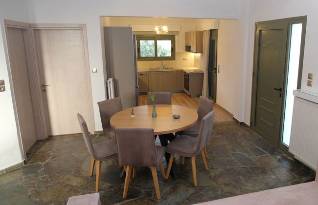 Terra Divina - Foto 38