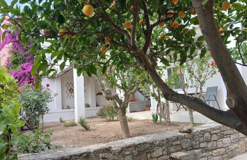 Melody cottage, Samos - Foto 32