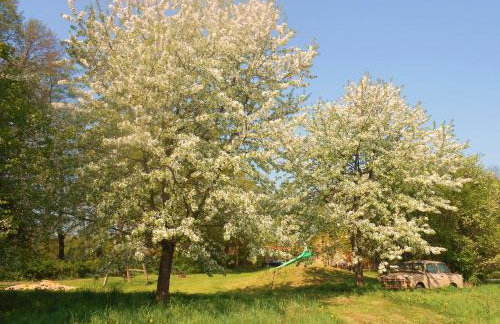 Ferienhof Idyll am kleinen Fließ - Foto 19