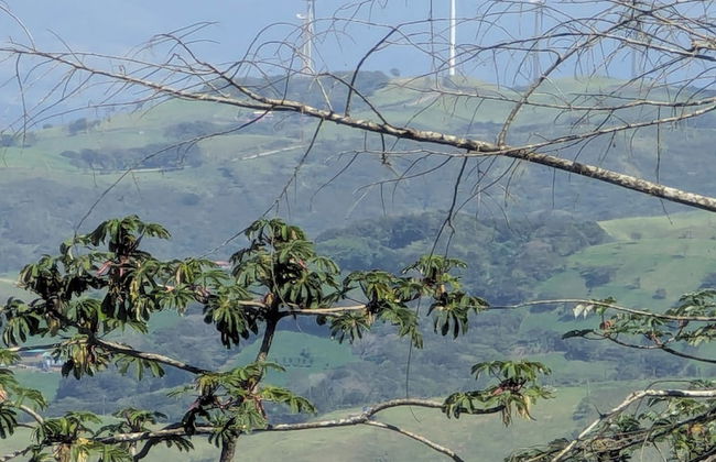 Campos de Oro Wilderness Lodge - Foto 22