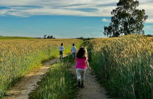 Herdade da Boavista - Foto 39