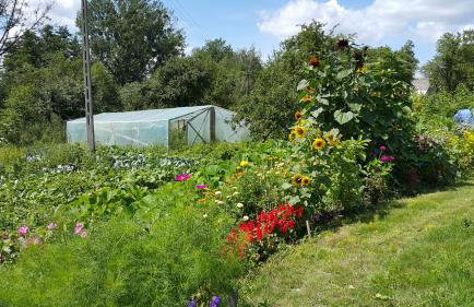 Zielone Zacisze Zwola - Foto 67