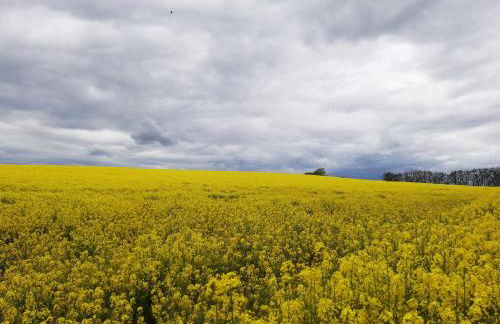 Oderbruchhütte - Photo 10