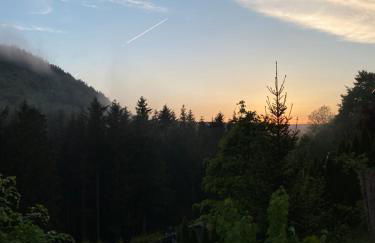 VIP Haus Winterberg - Foto 4