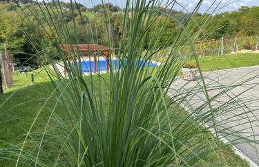 Villa Međimurka - Foto 24