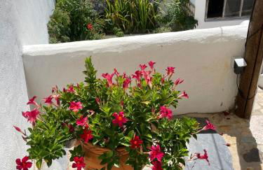 Casa Pollard - Foto 16