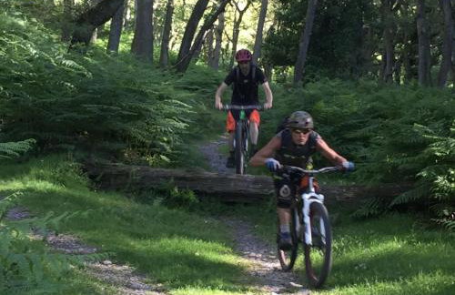 The Pippins Old Cleeve - Foto 24