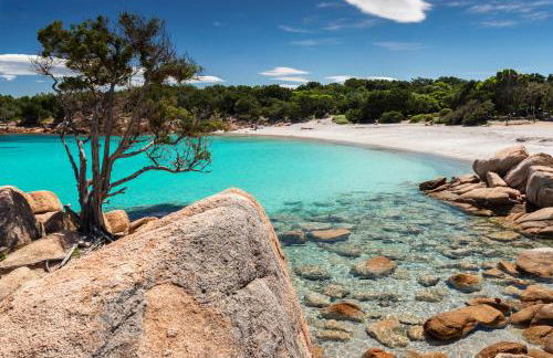 Isola Sarda Appart NICE - Photo 49