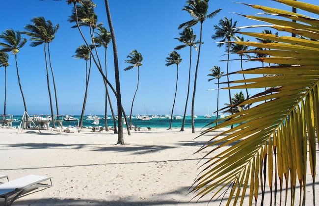 Xeliter Playa Coral Bavaro - Foto 65