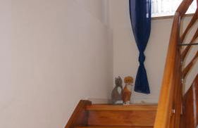 Ferienhaus am Flaumbach - Foto 15