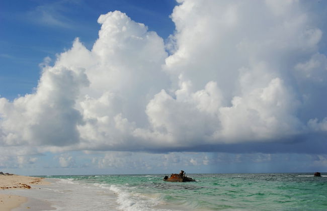 Buttonwood Reserve 1B - Foto 34