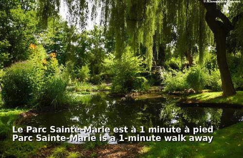 Nancy Ville - Foto 11