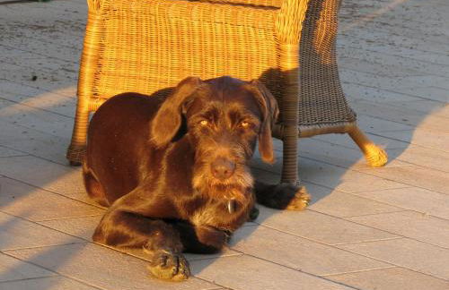 Agriturismo I Moricci - Foto 33