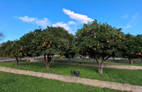 F2 Les Figuiers proche Ajaccio - Foto 8