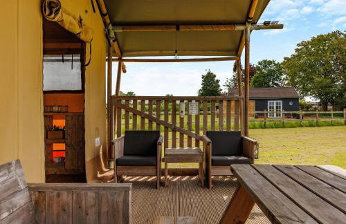 Muntjac - Uk47396 - Foto 17