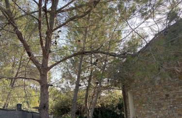 Maison proche du pic Saint Loup - Photo 25