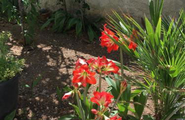 Casa Vacanza Demi - Foto 28