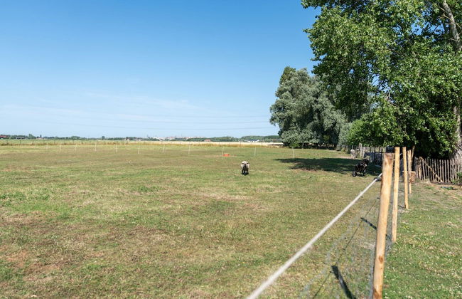 Heritage House 2 km From the Beach in Lissewege - Foto 35