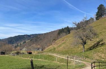 Traumurlaub in Sicht! 77qm Familiendomizil - Foto 15