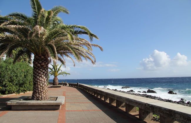 Caniço Bay Club - Foto 43