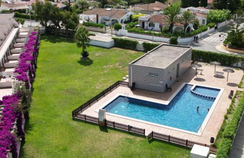 Birds&Nature - Foto 20