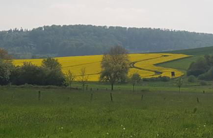 Ferienwohnung Lebensfreude Höxter im Weserbergland - Foto 43