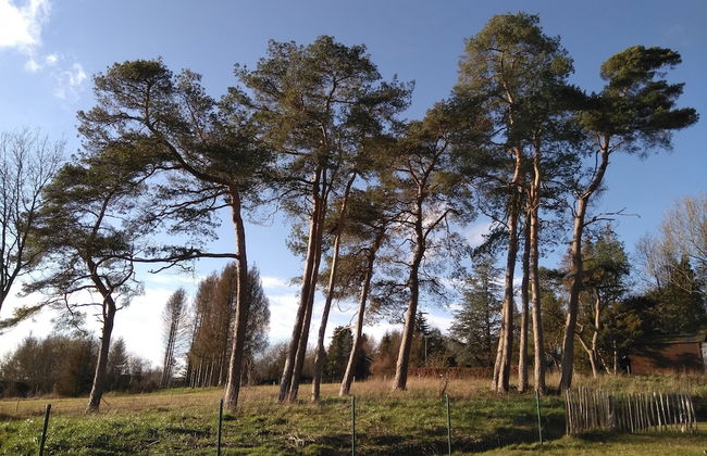 Cosy Holiday Home in Durbuy With Garden - Foto 40