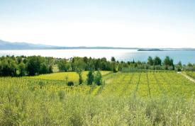 Agrigturismo Monte Cicogna - Foto 30