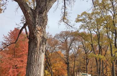 New listing! ON 62-acre Broad Ripple park/ less than a mile from Broad Ripple village. - Foto 69