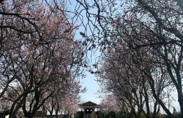 Finca privada para fiestas, BBQ & Vistas - Foto 5