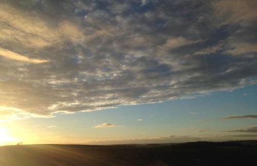 Urlaubsreiterhof Trunk - Foto 48