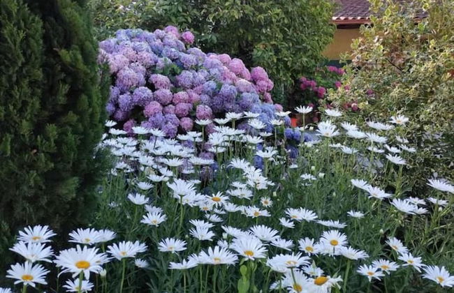 B&B da Ronald...a Pian del Papa - Foto 58