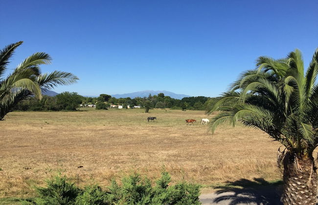 Residence Antinea - Foto 43