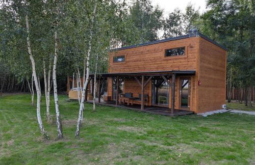 Brzozowe Siedlisko Chechłówka - Foto 3