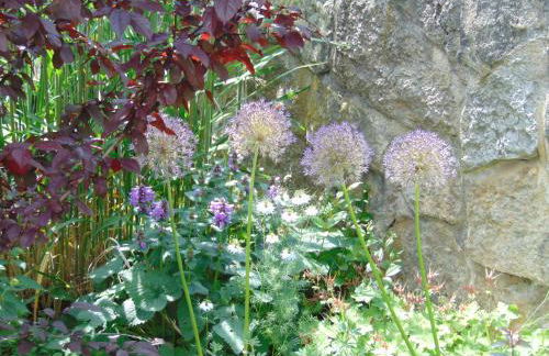 Obere Ferienwohnung Asshoff zwischen Odenwald, Taubertal und Bauland - Foto 12