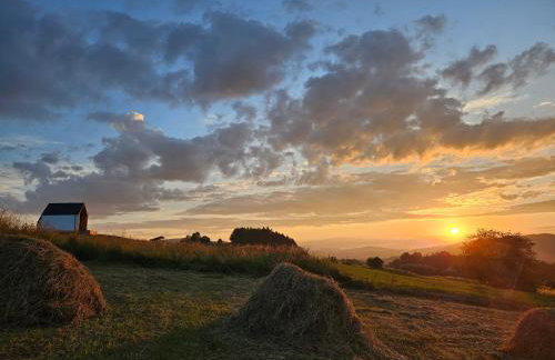 Lipowe Apartmenty - Foto 33