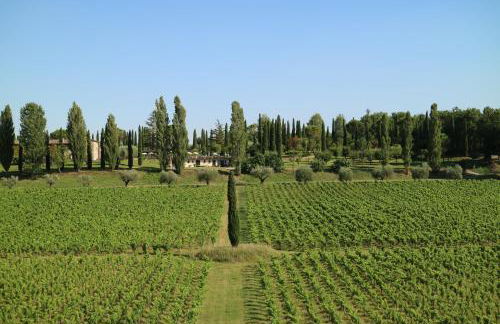 Agriturismo La Sovana - Photo 114