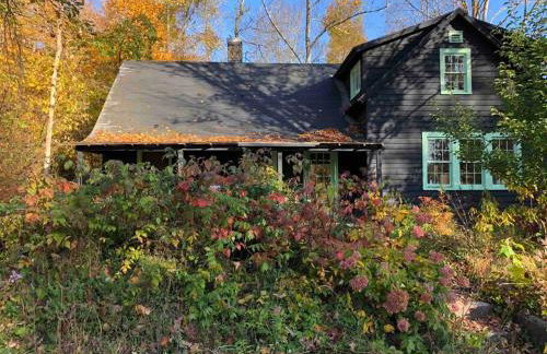Mountain Farmhouse (The Lorca, Catskills) - Foto 27