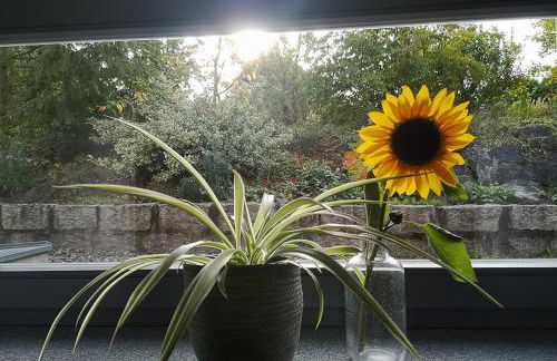 Ferienwohnung Morgenlicht - Foto 9