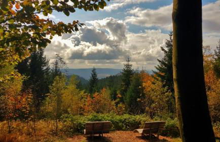 Ferienhaus Laange - Foto 34