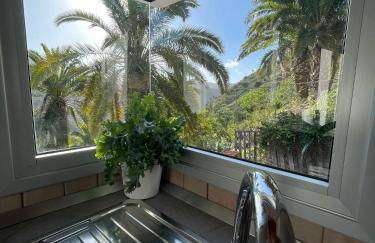 Casa Carlos - Photo 19