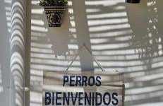 Las Casitas de la Barrosa con jardín y piscina - Foto 14