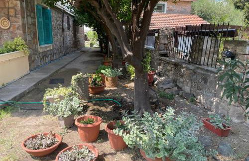 Peculiar Garden Apartment - Photo 10