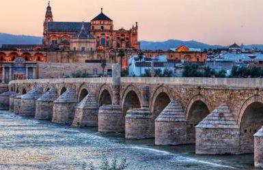 APARTAMENTO MEDINA AZAHARA - Photo 19