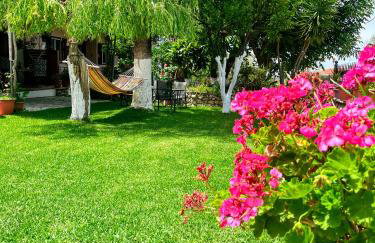 Stavros Apartments - Foto 39