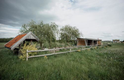 Dom HABASS - Foto 19